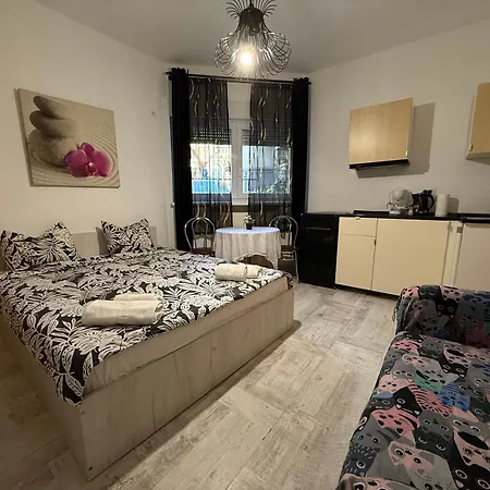 Cozy Romana Apartment Bucharest